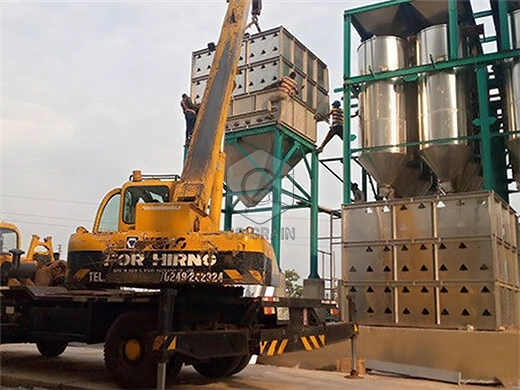 Petite_usine_de_riz_étuvée_de _10tonnes