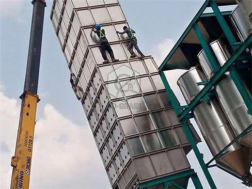 Petite_usine_de_riz_étuvée_de _10tonnes