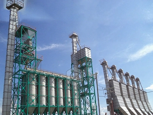 Usine_de_rizerie_bouillie_de_50_tonnes