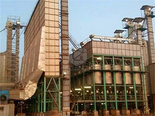 Usine_de_rizerie_bouillie_de_50_tonnes