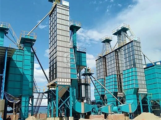 Usine_de_rizerie_bouillie_de_50_tonnes