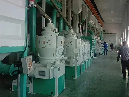 coût_de_l’usine_de_rizerie
