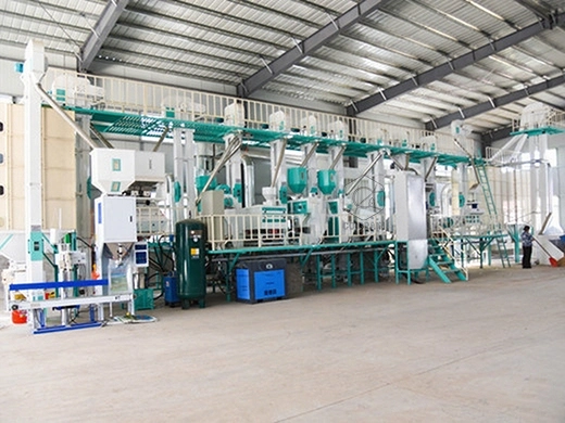 Coût_de_la_machine_de_traitement_du_riz_de_60tonnes