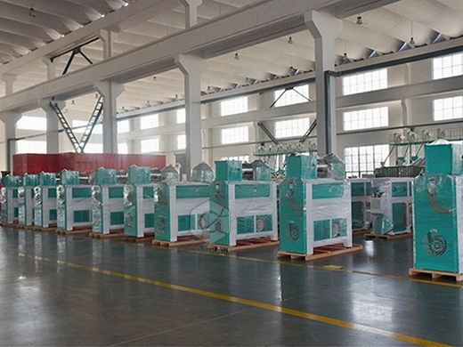 machine_à_polir_le_riz