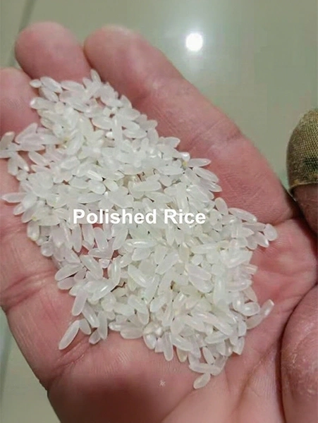 machine_à_polir_le_riz