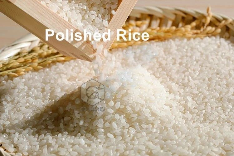 machine_à_polir_le_riz
