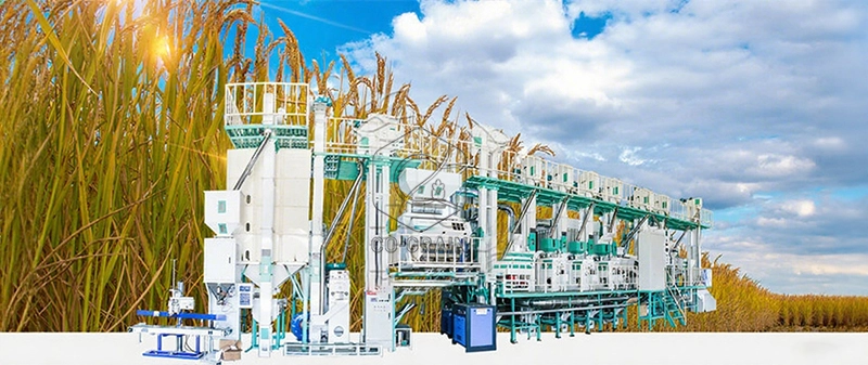 usine_de_rizerie