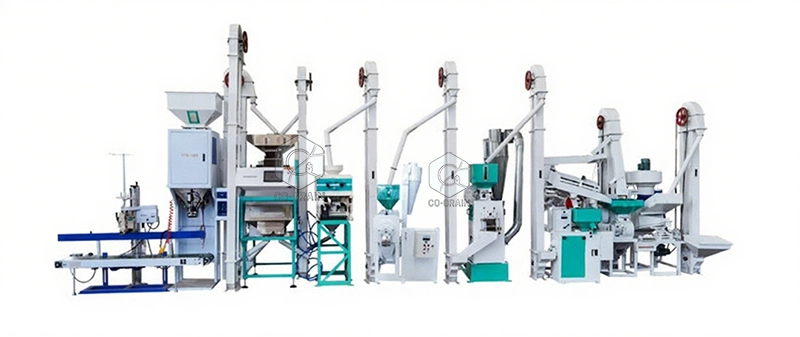 usine_de_rizerie