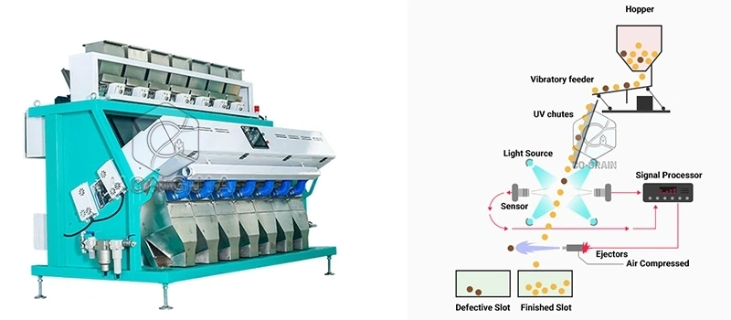 Machine_de_tri_de_couleur_de_riz