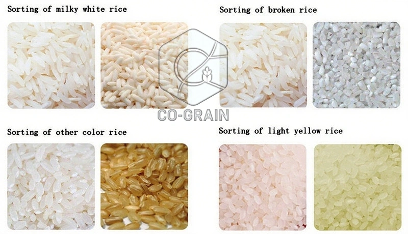 Machine_de_tri_de_couleur_de_riz