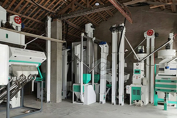 usine_de_rizerie
