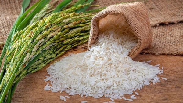 Machine_de_production_de_riz_Philippines