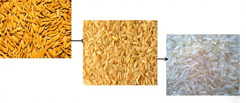 Machine_d’étuvage_du_riz