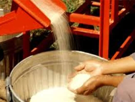 entreprise_d’usinage_du_riz