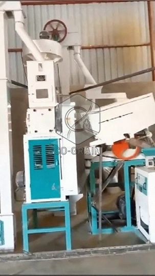30TD_Rice_Mill_Machine_in_Malawi 5