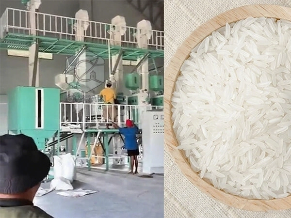 Molino_de_arroz_de_60t_en_Filipinas (1)