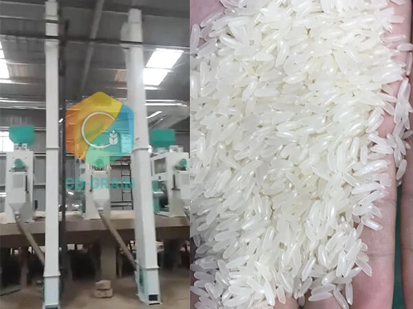 Moulin_à_riz_60T_au_Kenya 2