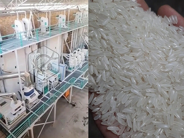 Moulin_à_riz_80t_par_jour_en_Ouzbékistan 2