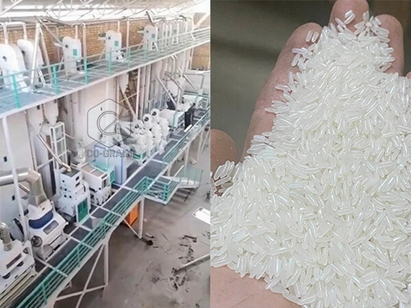 Moulin_à_riz_80t_par_jour_en_Ouzbékistan 3