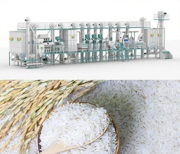 Moulin_à_riz_de_60t_en_Ouganda 3