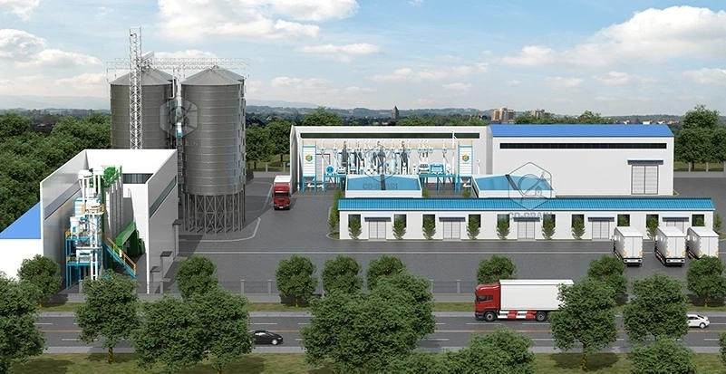 Usine_de_rizerie_étuvée_de_50tonnes_par_lot_avec_machine_de_traitement_du_riz_de_100tonnes_par_jour 6