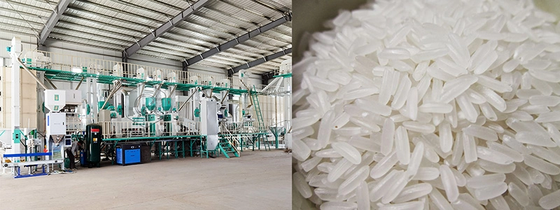 solution complète d'usine de transformation du riz