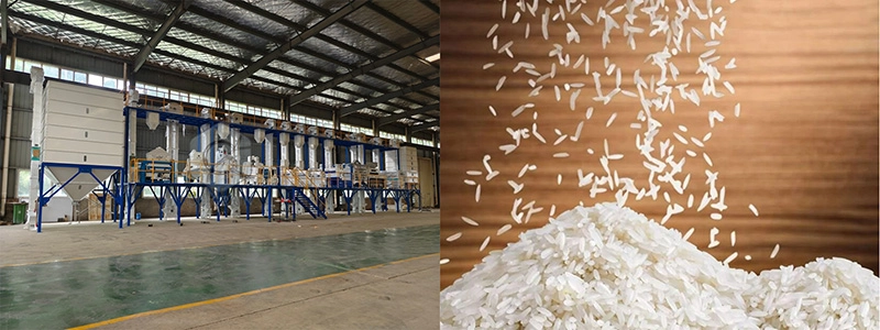 solution complète d'usine de transformation du riz