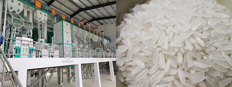 solution complète d'usine de transformation du riz
