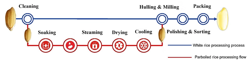 processus de production du riz précuit