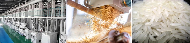 solution pour usine de meunerie de riz