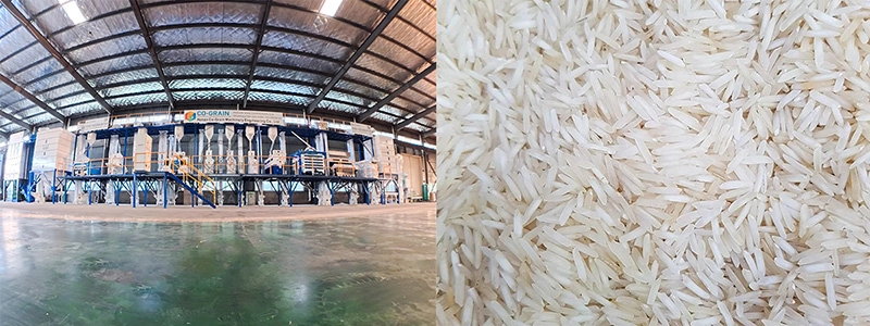 démarrer une usine de transformation de riz