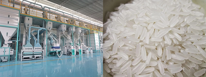 démarrer une usine de transformation de riz