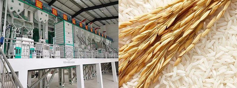 démarrer une usine de transformation de riz